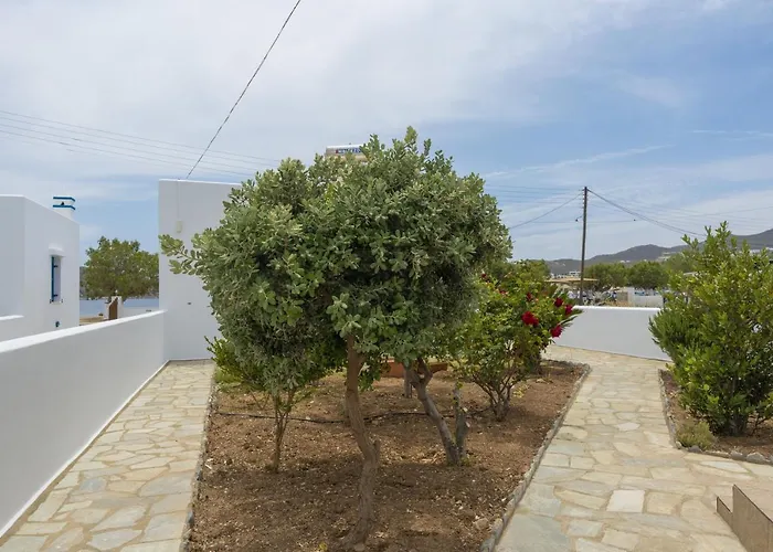 Ninemia Serifos 4 Apartamento Livadi (Serifos)